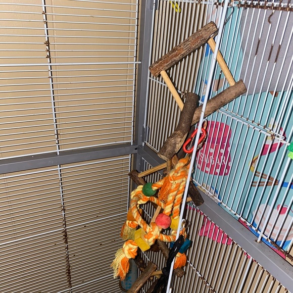 Bird “House” - Picture 2 of 5